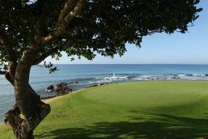 Casa De Campo (Teeth Of The Dog) 5th Green